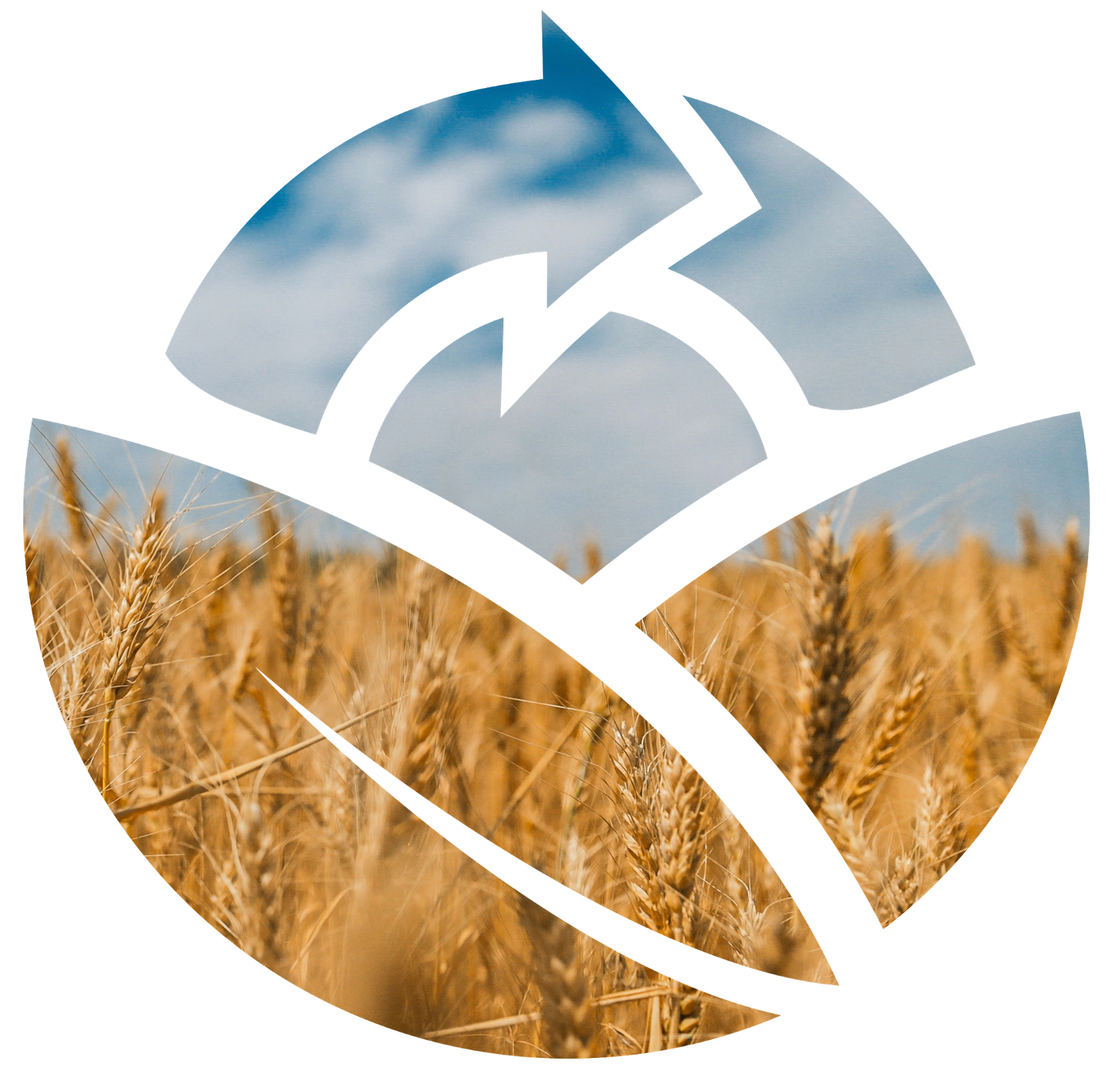 large FactFlow logo with grain field